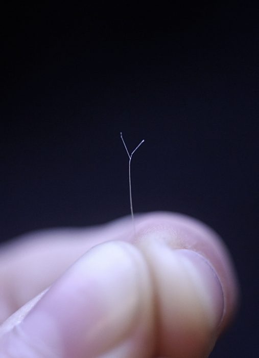 Split End